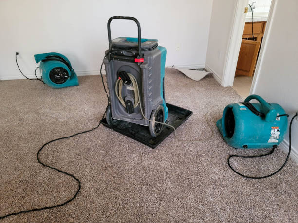 Best Water damage cleanup near me  in Angleton, TX