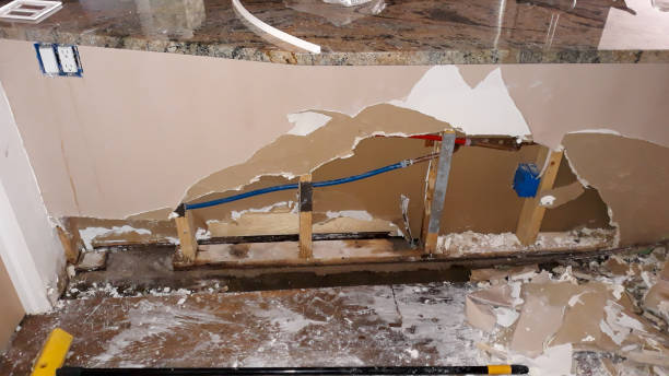 Best Flood restoration services  in Angleton, TX