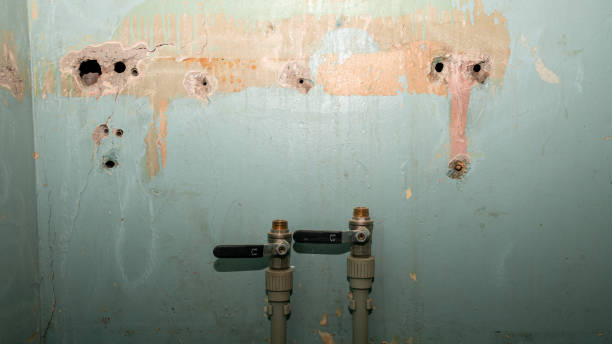 Best Carpet water damage restoration  in Angleton, TX