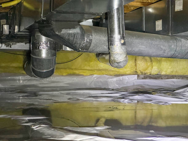 Best Fire Damage Restoration  in Angleton, TX