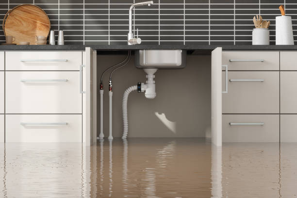 Best Water damage restoration near me  in Angleton, TX