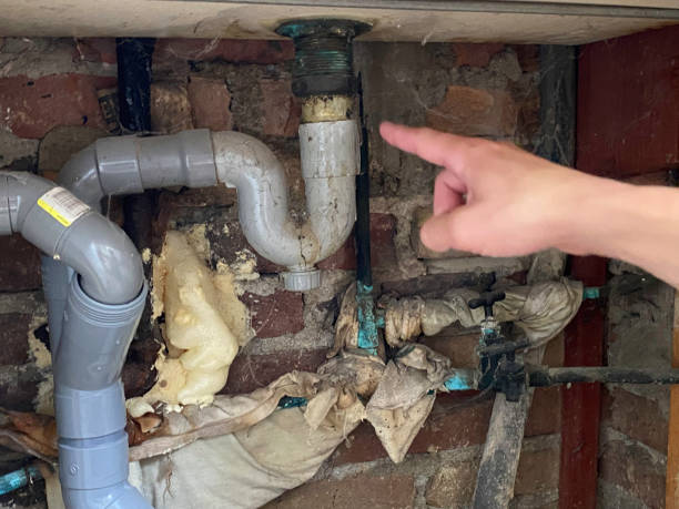  Angleton, TX Water damage restoration Pros